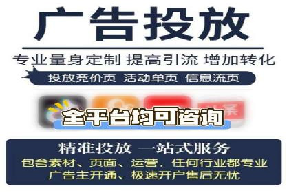 SEM竞价实战技巧，案例讲解与应用